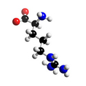 L-Arginine
